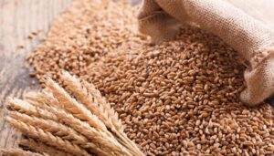 Pakistan’s Wheat Stocks Stand at Over 6.445 Million Tons