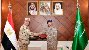 Saudi Arabia, Egypt Discuss Defence Cooperation