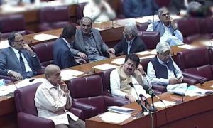 Session, Parliament, Government, Bills, amendments, Law Minister, Azam Nazeer Tarar, Pakistan Tehreek-e-Insaf, PTI, Senator, Pakistan Peoples Party, PPP, Mian Raza Rabbani