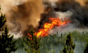 Wildfires, Canada, north, city, evacuate