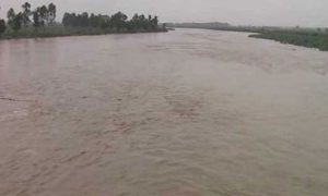 River, Sutlej, High, Flood