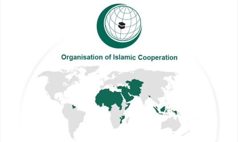 OIC, Organization of Islamic Cooperation, OIC, United Nations, Yemen, Hans Grundberg, roadmap, peace process,