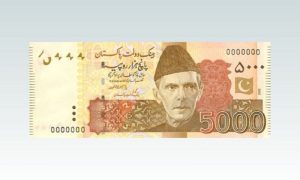 Pakistan, currency notes, Murtaza Solangi, Notification