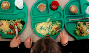 Rising Obesity: Children Should Get One Healthy School Meal a Day, Experts