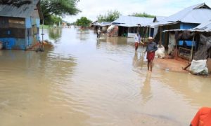 Floods, Horn of Africa, homes, Somalia, Kenya, Ethiopia, climate change