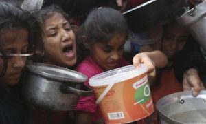 Gaza, Food, Starvation, Bakeries, Bread, Sugar, Fuel, United Nations, Israeli, Palestinians, OCHA, Gaza Strip, Khan Younis, Farmers,