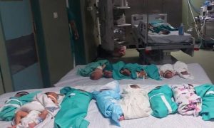 Gaza, Al-Shifa Hospital, Hospital, Al-Shifa, Palestinians, Israeli, Medicines, Babies, Incubators, Fuel, Electricity, Water, Food, Milk,