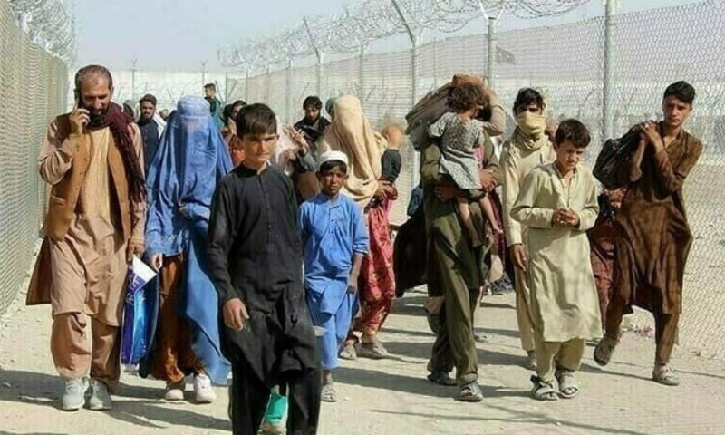 Afghan, Immigration, Crackdown, Repatriation, Pakistan, Returnees