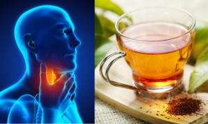 Nine Herbal Drinks to Ease Sinus and Throat Discomfort During Winter