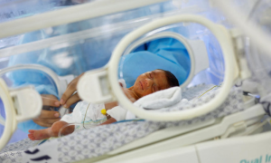 War on Gaza: Thirty-One Premature Babies are Evacuated from Al-Shifa Hospital