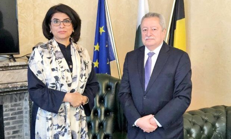 Yemeni Ambassador Meets Pakistan's Envoy in Belgium