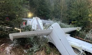 Austria, Small Plane Crash, VIENNA, Austrian police, probe, Aviation Safety Network