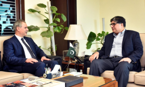 Jordan's Ambassador Calls on Pakistan's Privatization Minister, Discuss Bilateral Ties