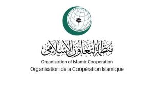 OIC, Human Rights, Dual Standards, RIYADH, Independent Permanent Human Rights Commission, Organization of Islamic Cooperation, Israeli attack on Gaza,