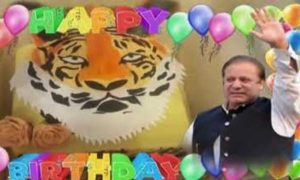 Pakistan Muslim League-Nawaz, PML-N, Nawaz Sharif, Birthday, development, prime minister, Punjab, National Assembly, Maryam Nawaz