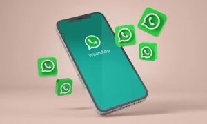 WhatsApp, Features, Privacy, Connectivity, Health, iPhone, India, App Store, Video, Audio Message, Message,