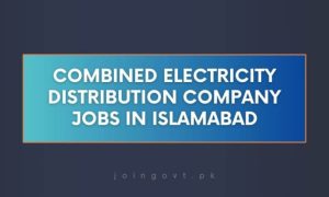 Combined Electricity Distribution Companies, Jazz Cash, Ministry of Energy, Power Division