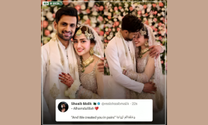 Sana Javed: Who is Star Cricketer Shoaib Malik's New Bride