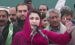 Maryam Nawaz, government, PML-N, Pakistan Muslim League-Nawaz, Okara, Nawaz Sharif, Pakistan Tehreek-e-Insaf, PTI, Imran Khan, judge