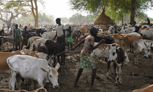 39 Killed in Violent Clashes Among Cattle Herders in South Sudan