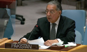 Ambassador Munir Akram, Pakistan, Polio, UNICEF, diplomat, Ambassador, budgets, United Nations, Afghanistan, Prime Minister, Anwaar-ul-Haq Kakar