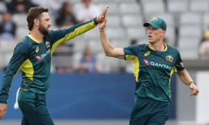 Australia Faces Tough Decisions Amid T20 World Cup, Matthew Wade,