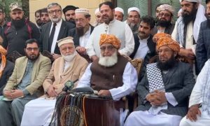 Jamiat Ulema-e-Islam, JUI-F, Maulana Fazlur Rehman, Fazlur Rehman, general elections, PML-N, Nawaz Sharif, Parliament, Election Commission,