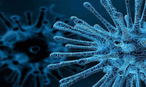 Poliovirus Found in Lasbela's Environmental Sample