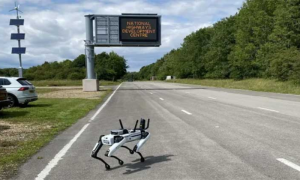 Robot Dog Deployed on UK Motorway to End Traffic Jams