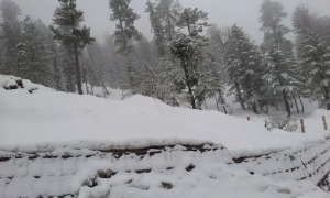 Snowfall Hits Swat, Upper Dir; 148 Travelers Rescued