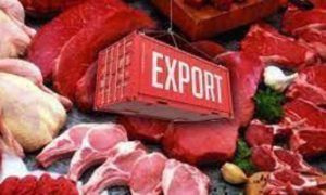 Pakistan, Exported, billion, dollars, rice, imported, food, fiscal, million,