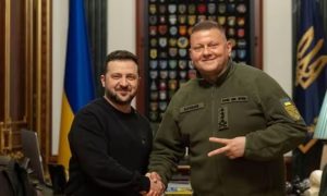 Ukraine, Zelensky, Commander-in-Chief, Valerii Zaluzhnyi