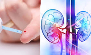 Hormone Can Protect Kidney's Functioning in Diabetic Patients: Study