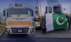 Pakistan Delivers Fresh Fruits Produce to Russia