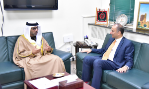 Pakistan, UAE Agree to Enhance Partnership in Petroleum Sector