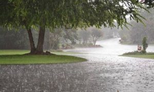 Rain, Rainfall, PMD, Thunderstorms, Across, Nation