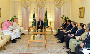 Saudi Fund for Development Delegation Meets Pakistan PM, Discusses Key Projects