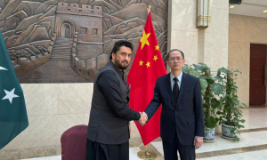 Terrorist Attacks to Strengthen China-Pakistan Resolve to Deepen Cooperation: Diplomat