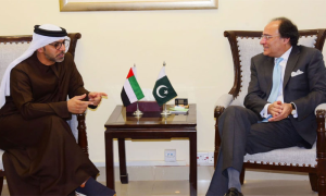 UAE Ambassador Meets Pakistan’s Finance Minister, Discuss Bilateral Ties