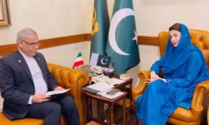 Iranian, Consul General, Chief Minister, Punjab, Maryam Nawaz Sharif, Lahore, relations, ties, trade, cooperation, Nowruz, Badshahi Mosque