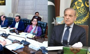 Pakistan’s Prime Minister, Shehbaz Sharif, committee, climate change, Attaullah Tarar,