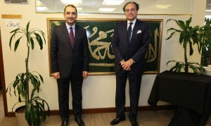 Pakistan, Finance Minister, Saudi Fund for Development, Diamir Bhasha