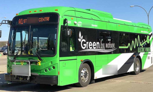 Electric Buses In Capital Next Month