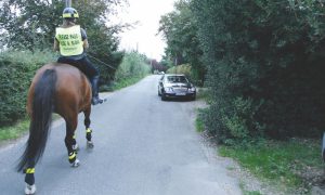 Fact Check, Horses, Cyclists, Highways in Britain