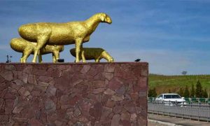 Hissar Sheep Symbol Of Hope for Tajikistan's Agriculture
