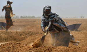 Human Activity Fueled Unprecedented Heatwave in Mali, Burkina Faso