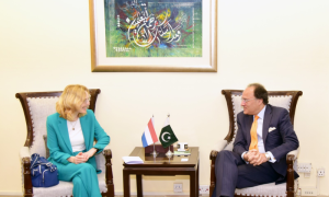Netherlands Ambassador Calls on Pakistan’s Finance Minister