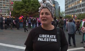 Pro-Palestinian