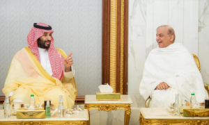 Saudi Crown Prince Receives Prime Minister of Pakistan (2)
