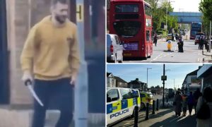 Teenage Boy Killed in London Sword Attack; Suspect in Custody
